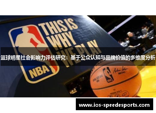 篮球明星社会影响力评估研究：基于公众认知与品牌价值的多维度分析