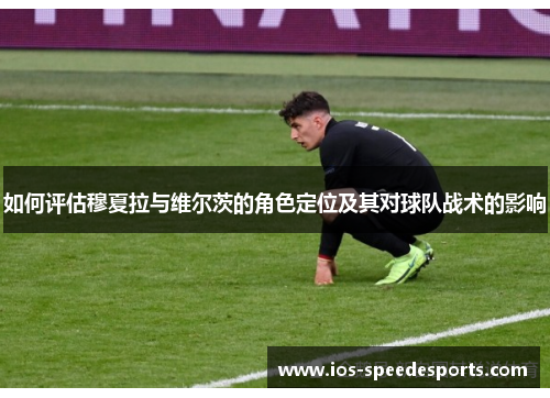 如何评估穆夏拉与维尔茨的角色定位及其对球队战术的影响 如何评估穆夏拉与维尔茨的角色定位及其对球队战术的影响