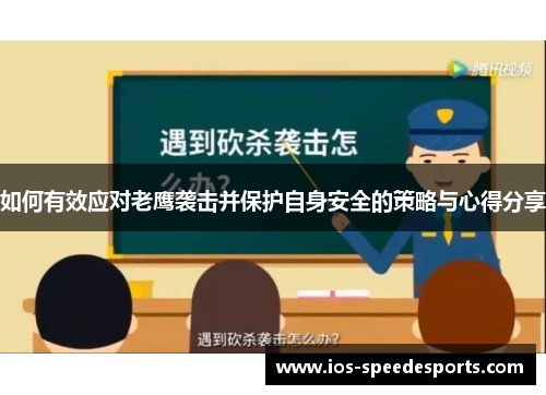 如何有效应对老鹰袭击并保护自身安全的策略与心得分享 如何有效应对老鹰袭击并保护自身安全的策略与心得分享