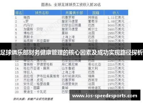 足球俱乐部财务健康管理的核心因素及成功实现路径探析 足球俱乐部财务健康管理的核心因素及成功实现路径探析
