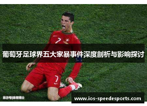 葡萄牙足球界五大家暴事件深度剖析与影响探讨 葡萄牙足球界五大家暴事件深度剖析与影响探讨