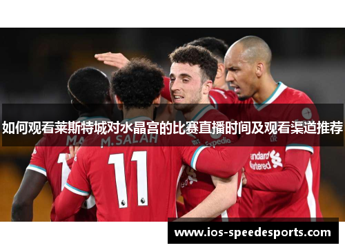 如何观看莱斯特城对水晶宫的比赛直播时间及观看渠道推荐