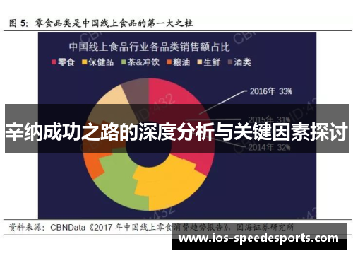 辛纳成功之路的深度分析与关键因素探讨 辛纳成功之路的深度分析与关键因素探讨